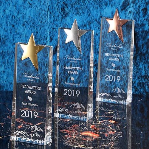 Cheap Acrylic Awards