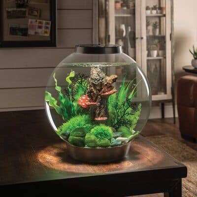 Acrylic Aquarium