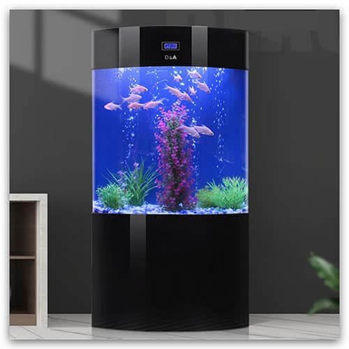 Acrylic Aquarium