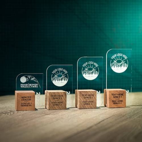 personalised wooden cheap acrylic awards